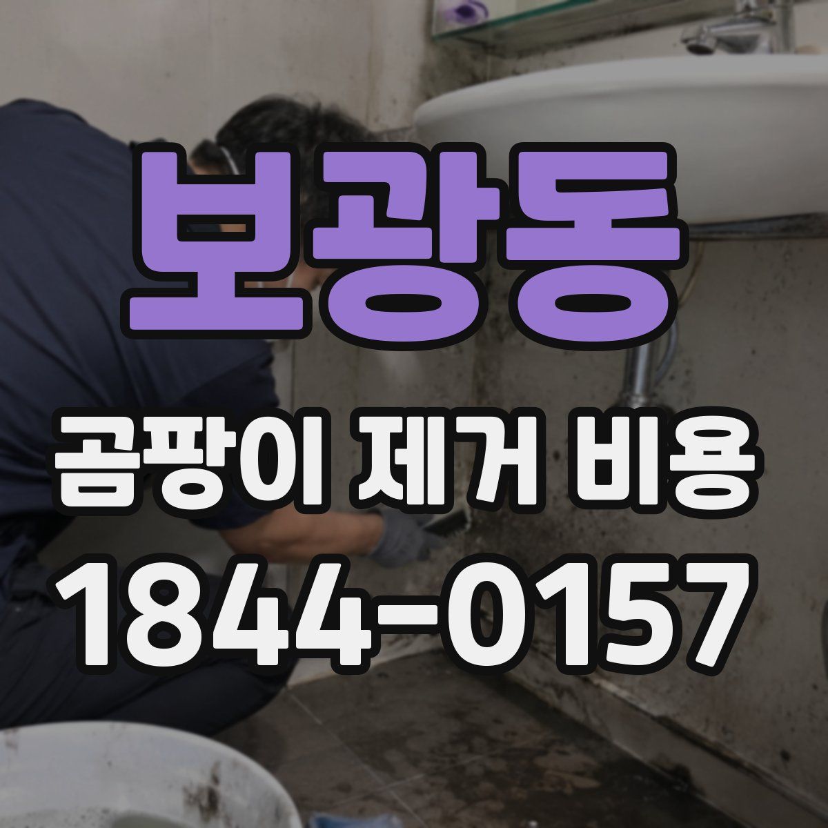 보광동 곰팡이 제거 비용