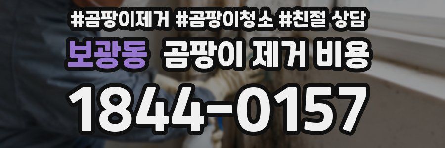 보광동 곰팡이 제거 비용