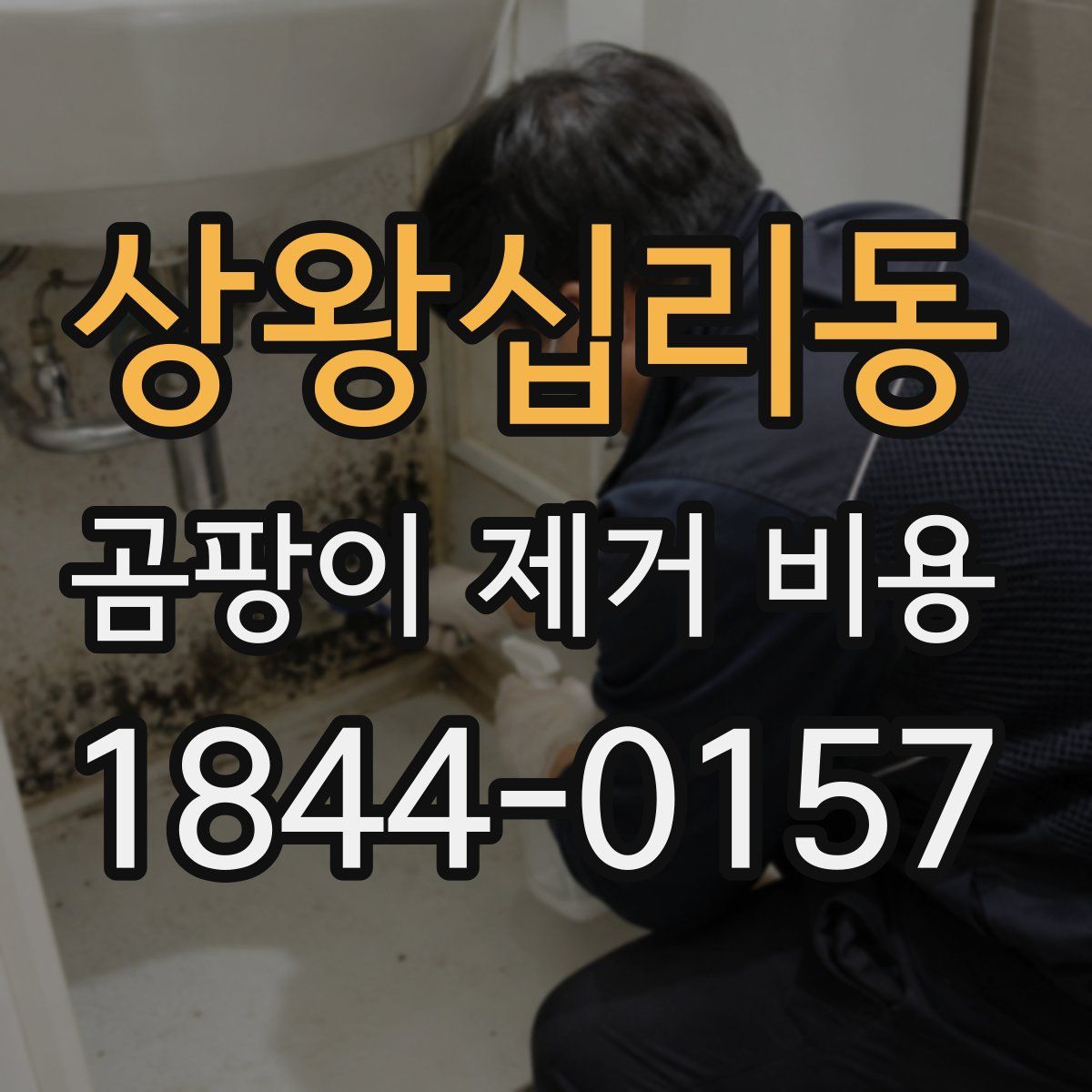 상왕십리동 곰팡이 제거 비용