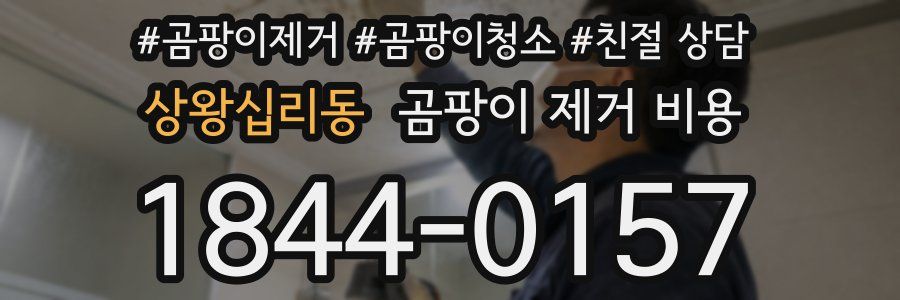상왕십리동 곰팡이 제거 비용