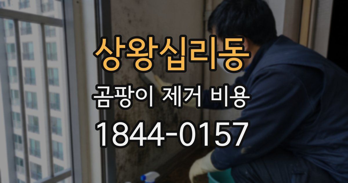 상왕십리동 곰팡이 제거 비용