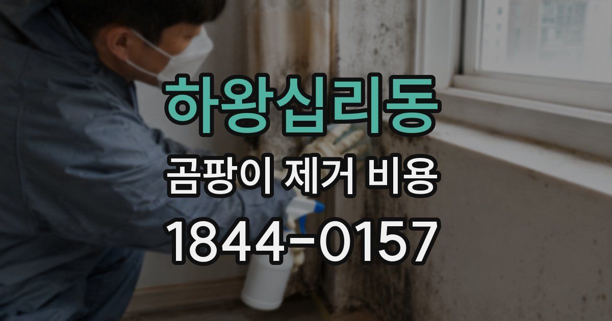 하왕십리동 곰팡이 제거 비용
