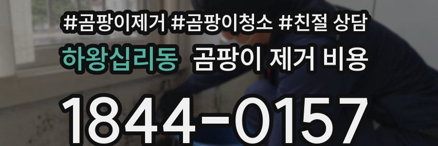 하왕십리동 곰팡이 제거 비용