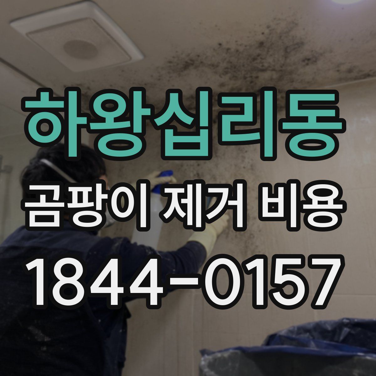 하왕십리동 곰팡이 제거 비용