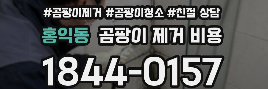 홍익동 곰팡이 제거 비용