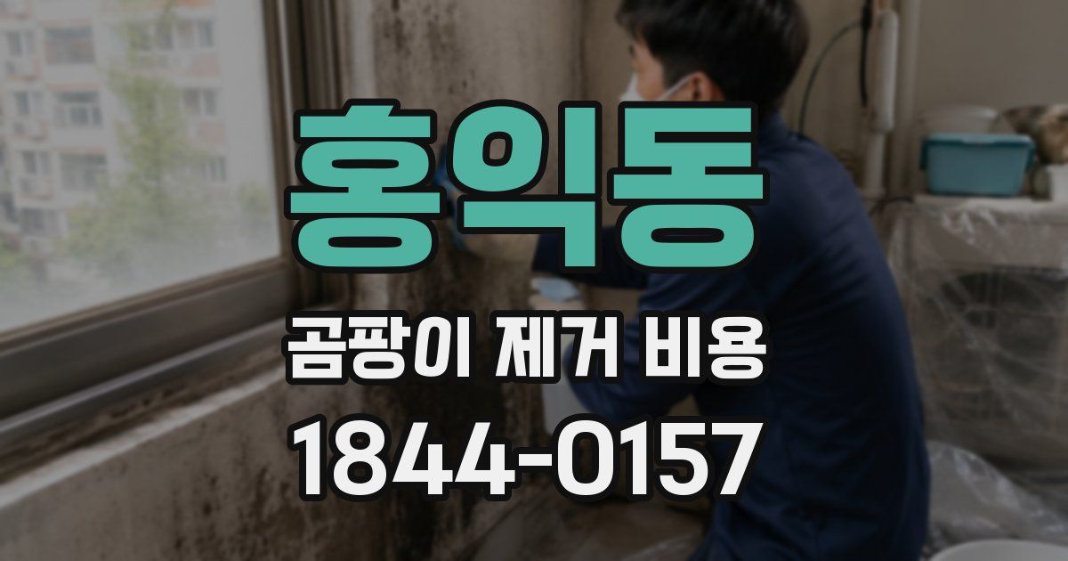 홍익동 곰팡이 제거 비용