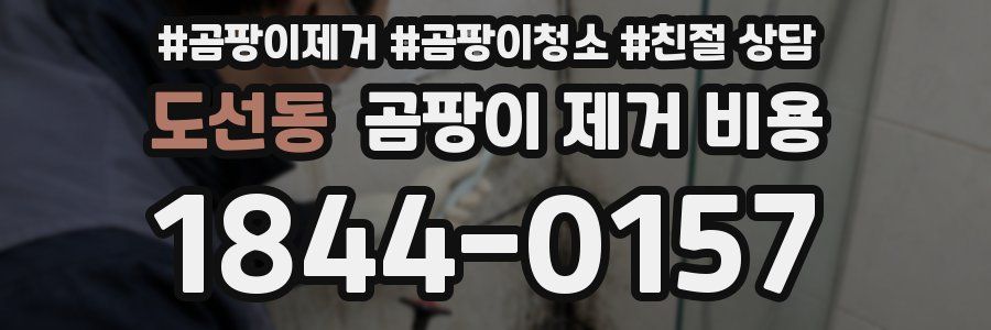 도선동 곰팡이 제거 비용