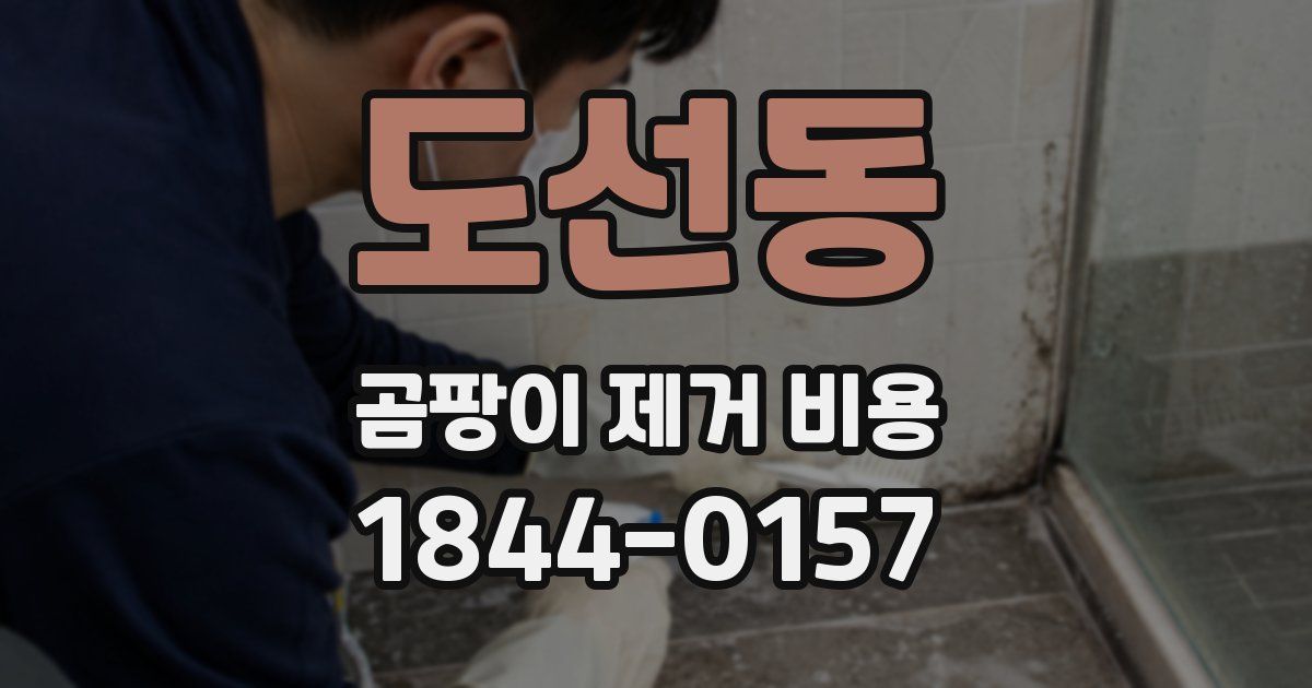 도선동 곰팡이 제거 비용