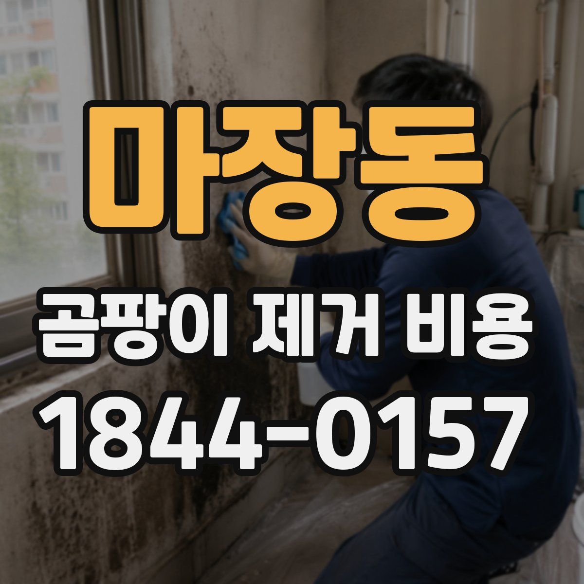 마장동 곰팡이 제거 비용