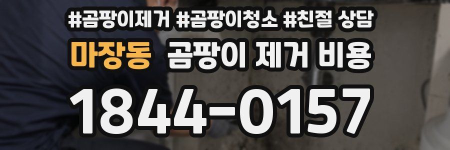 마장동 곰팡이 제거 비용
