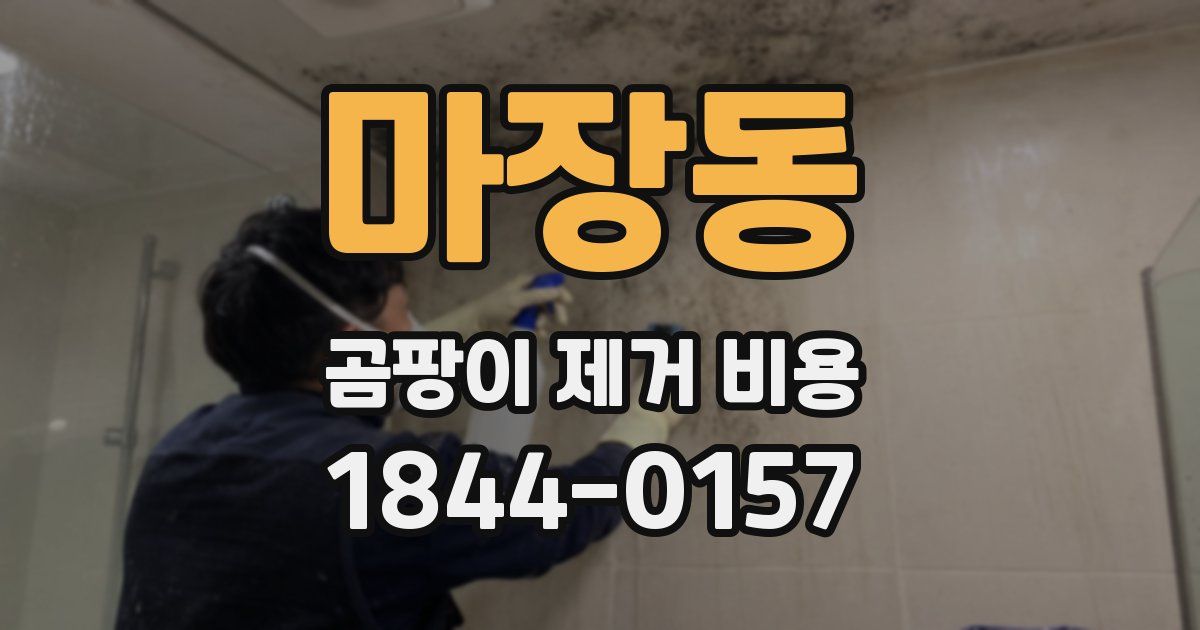 마장동 곰팡이 제거 비용