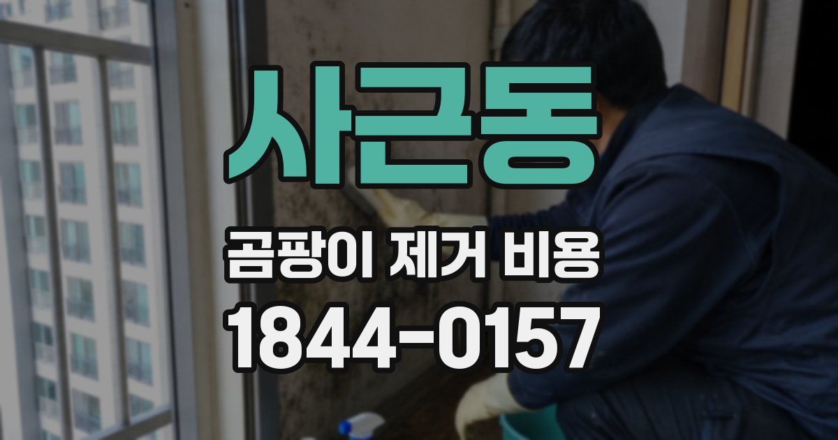 사근동 곰팡이 제거 비용