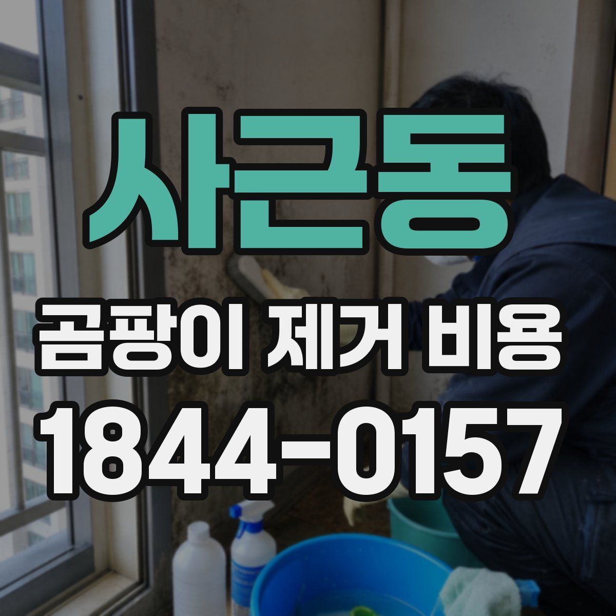 사근동 곰팡이 제거 비용