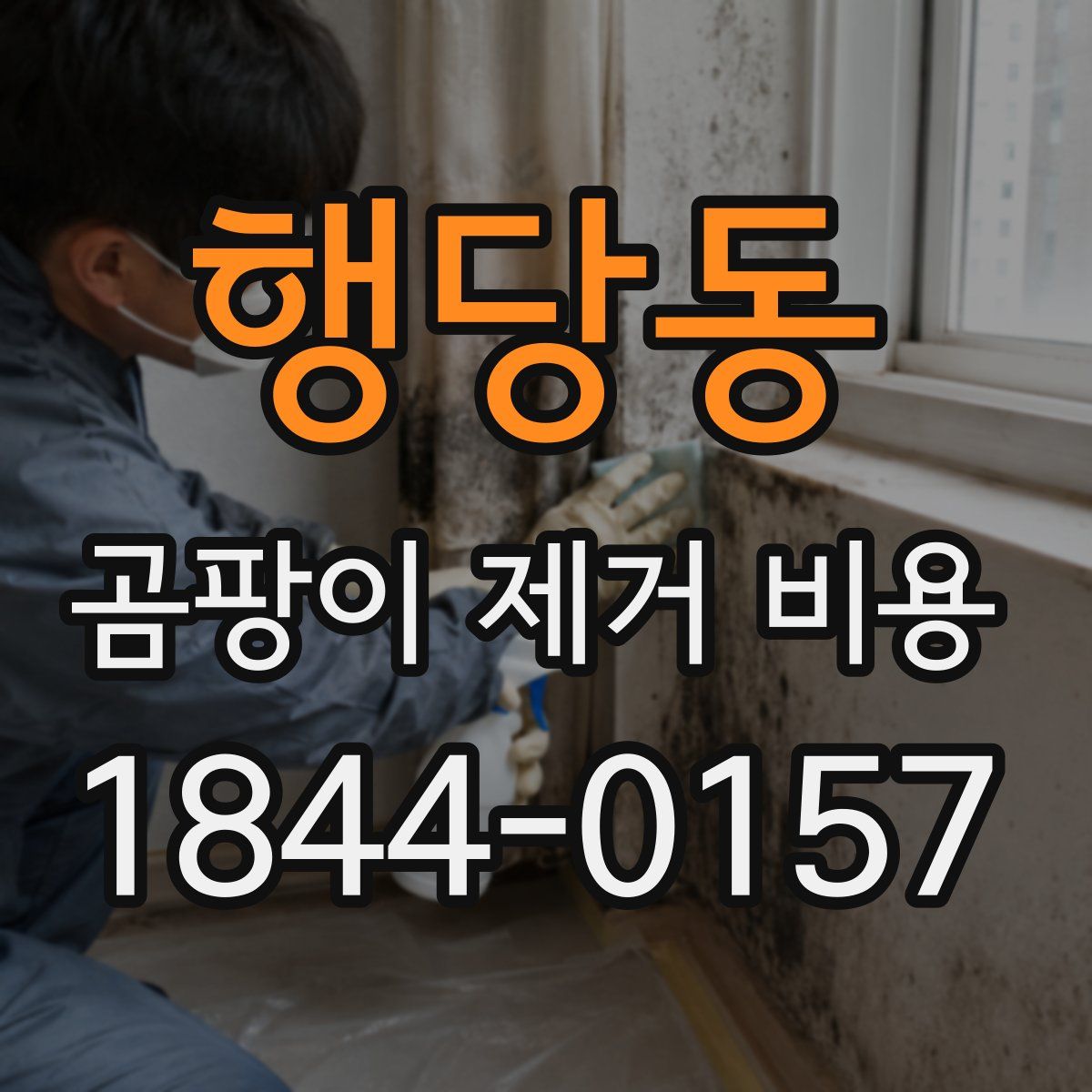 행당동 곰팡이 제거 비용