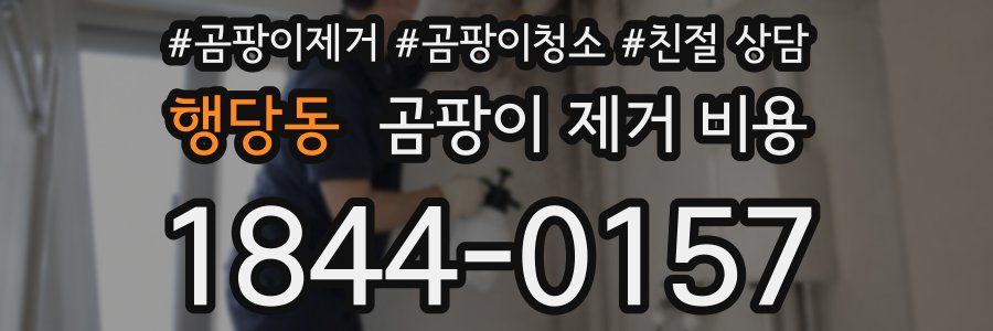 행당동 곰팡이 제거 비용