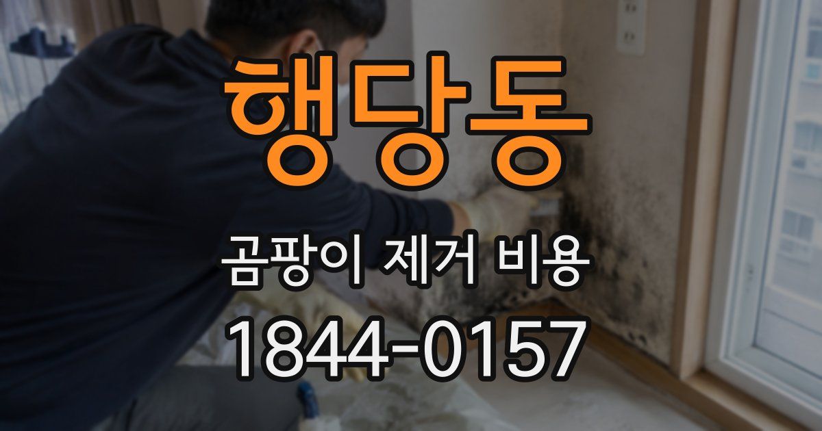 행당동 곰팡이 제거 비용