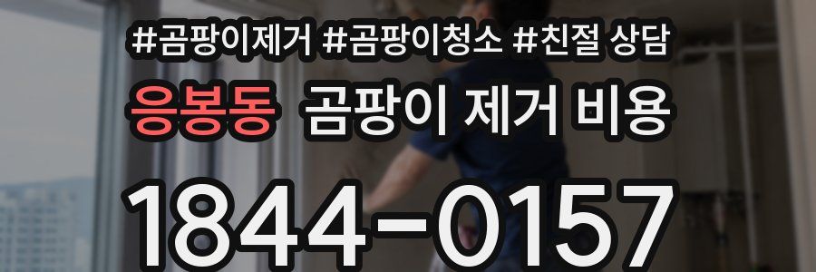 응봉동 곰팡이 제거 비용