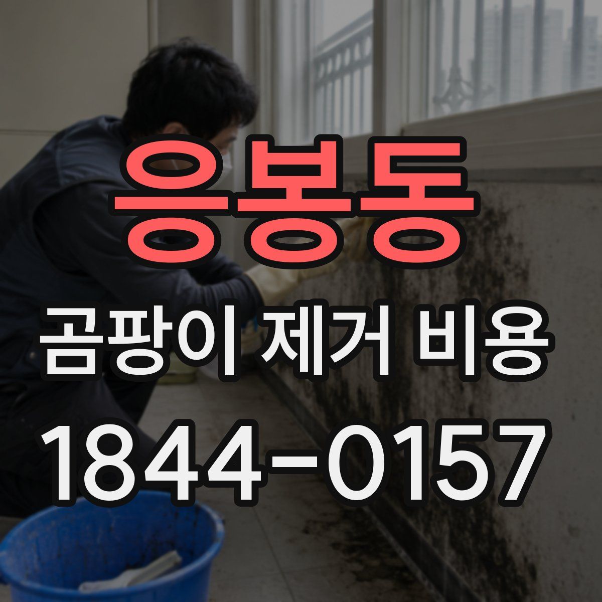 응봉동 곰팡이 제거 비용