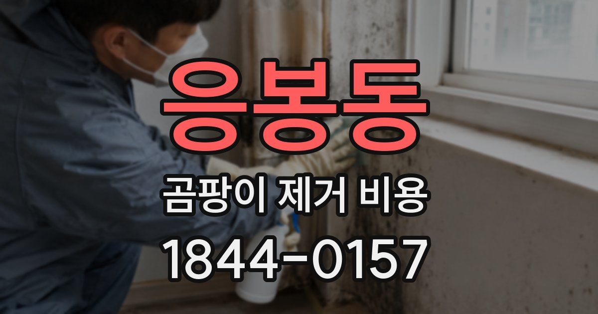 응봉동 곰팡이 제거 비용