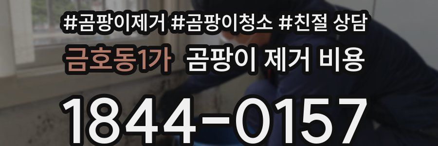금호동1가 곰팡이 제거 비용