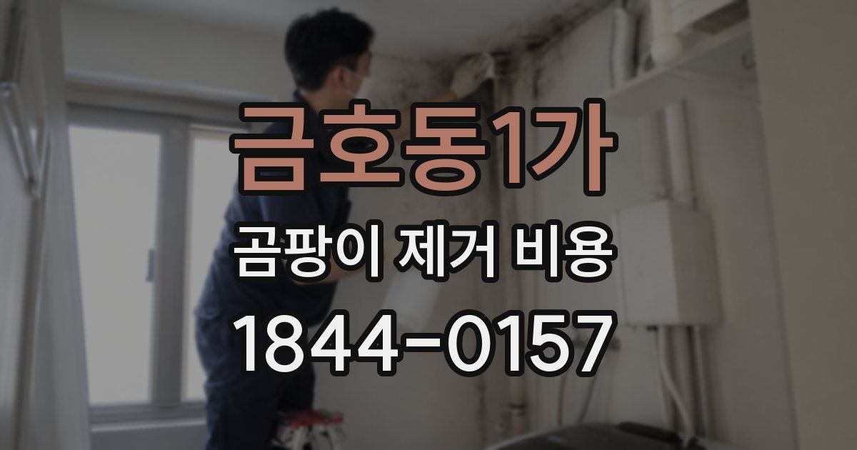 금호동1가 곰팡이 제거 비용