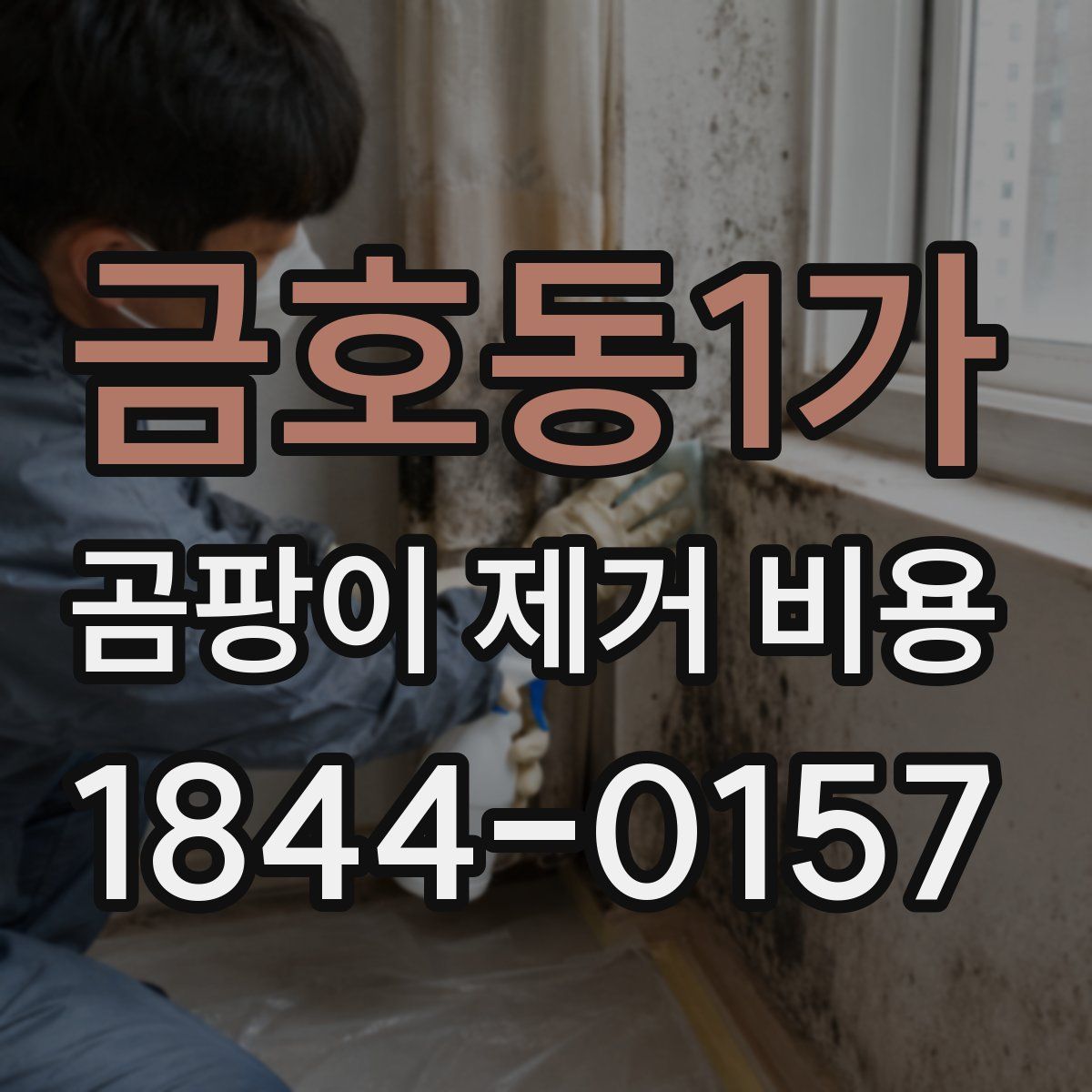 금호동1가 곰팡이 제거 비용