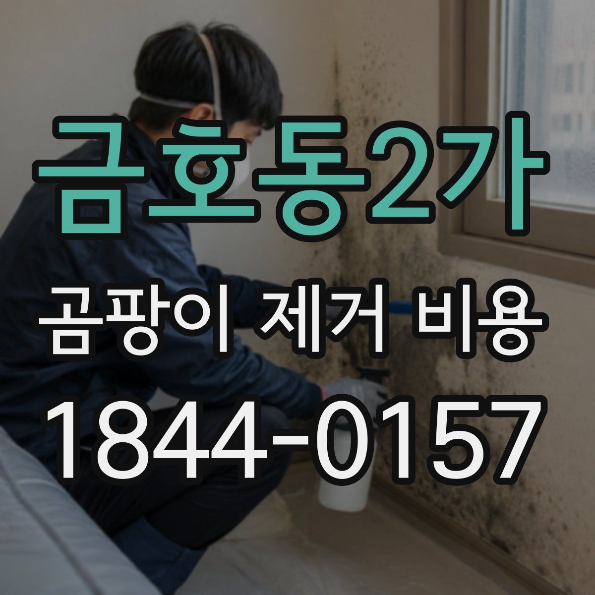 금호동2가 곰팡이 제거 비용