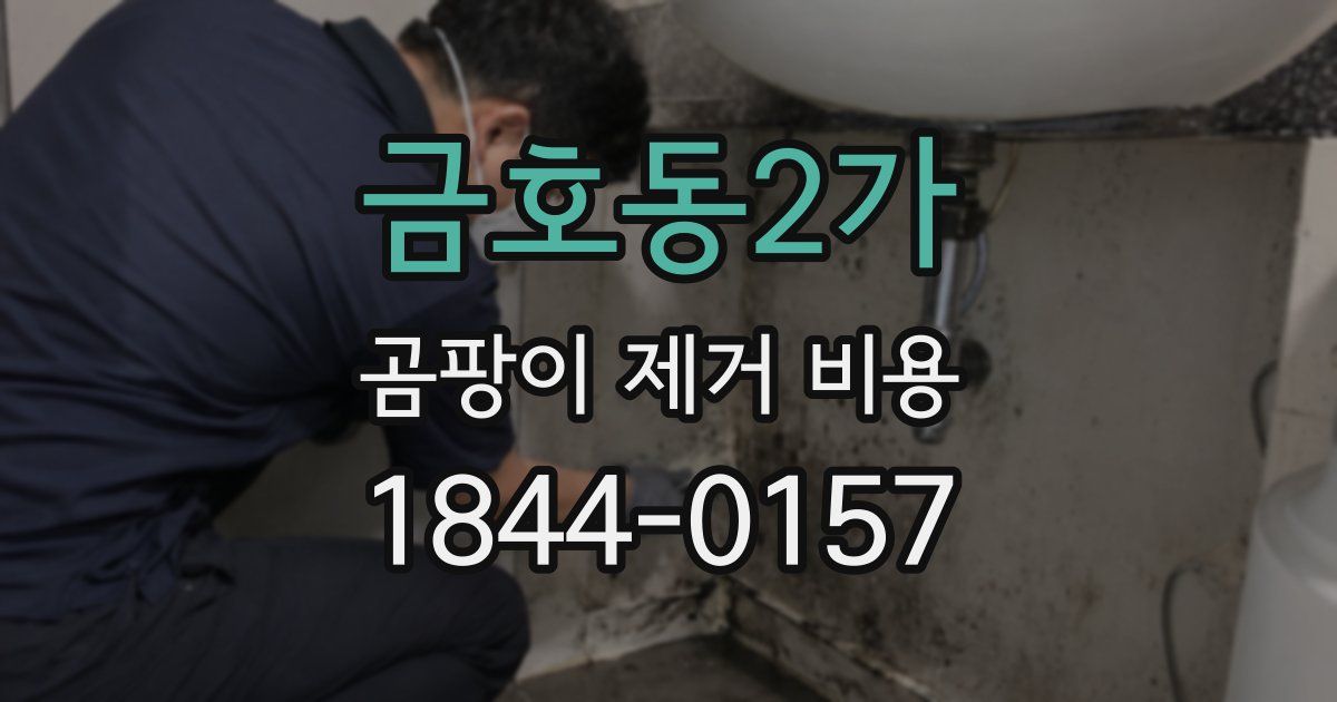 금호동2가 곰팡이 제거 비용