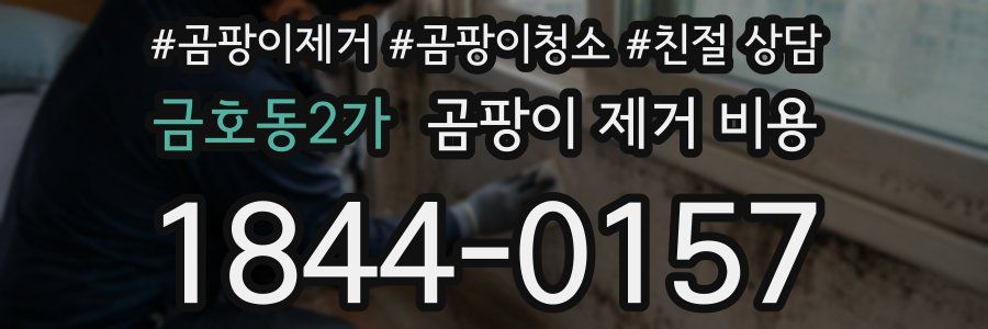 금호동2가 곰팡이 제거 비용