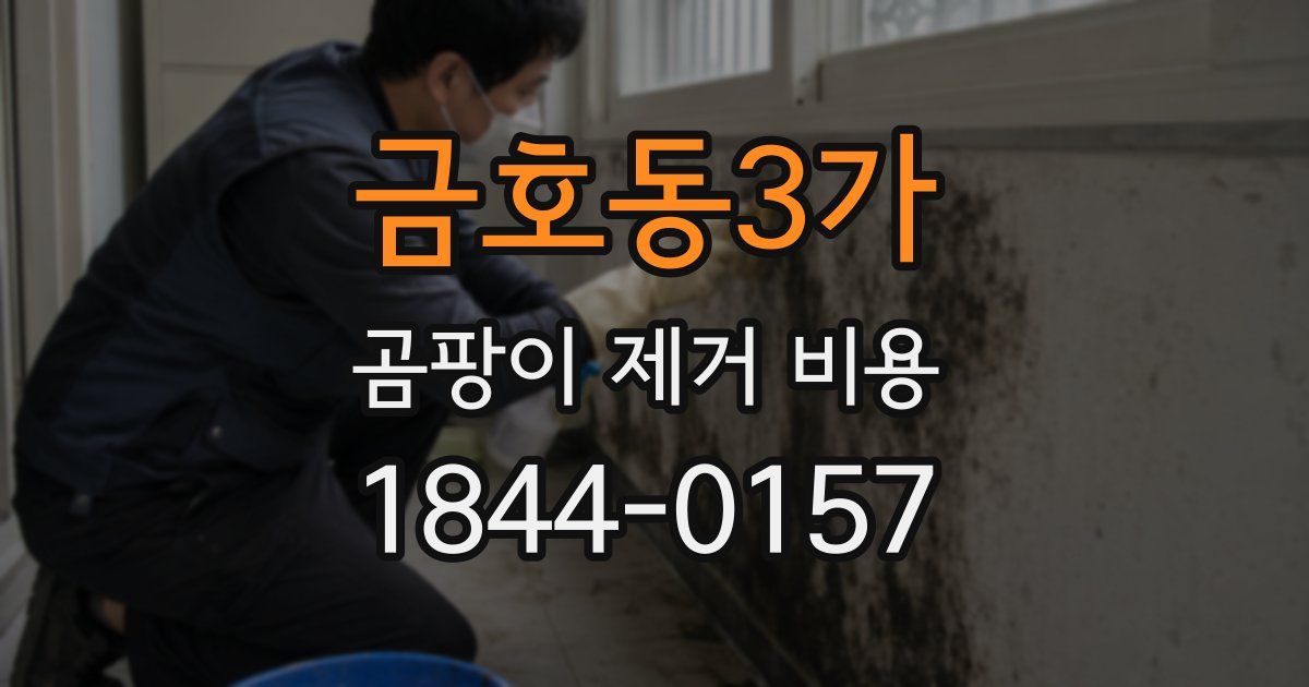 금호동3가 곰팡이 제거 비용