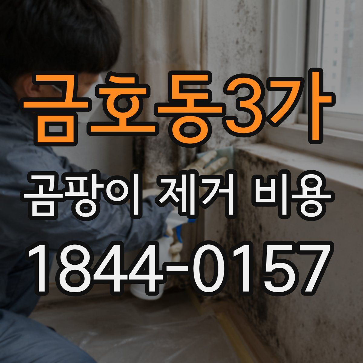 금호동3가 곰팡이 제거 비용