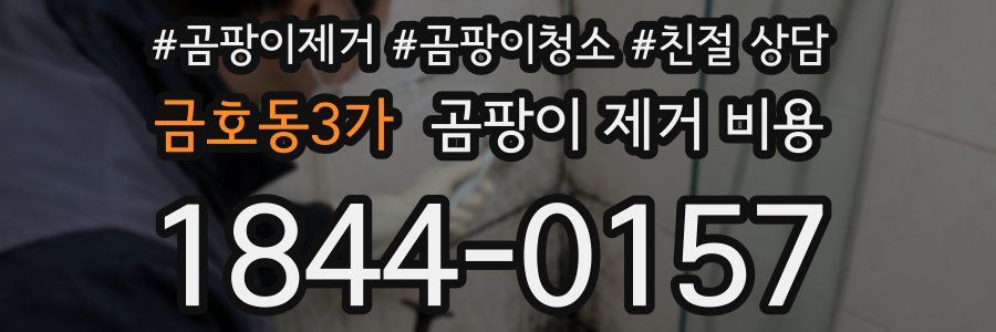 금호동3가 곰팡이 제거 비용