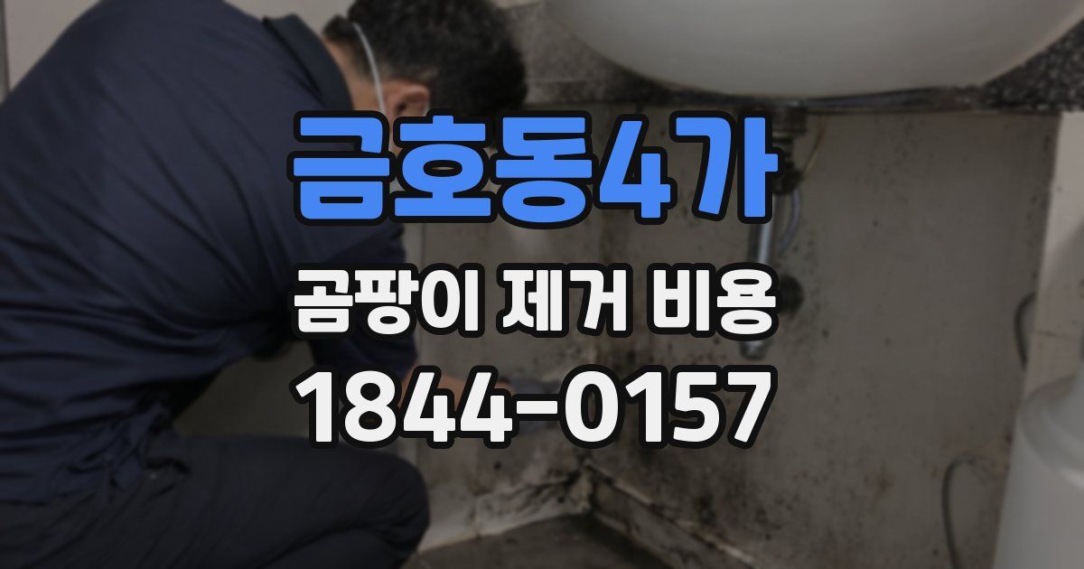 금호동4가 곰팡이 제거 비용