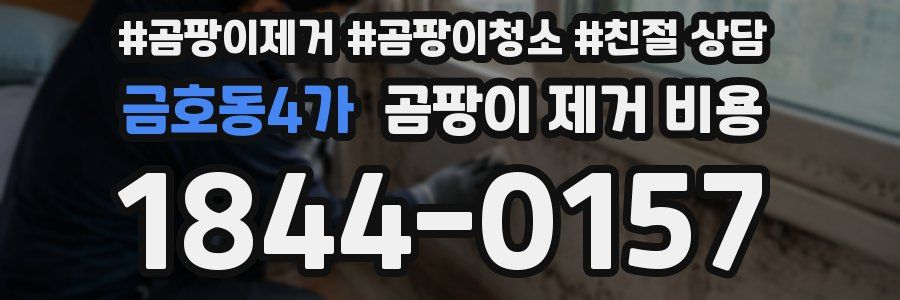 금호동4가 곰팡이 제거 비용