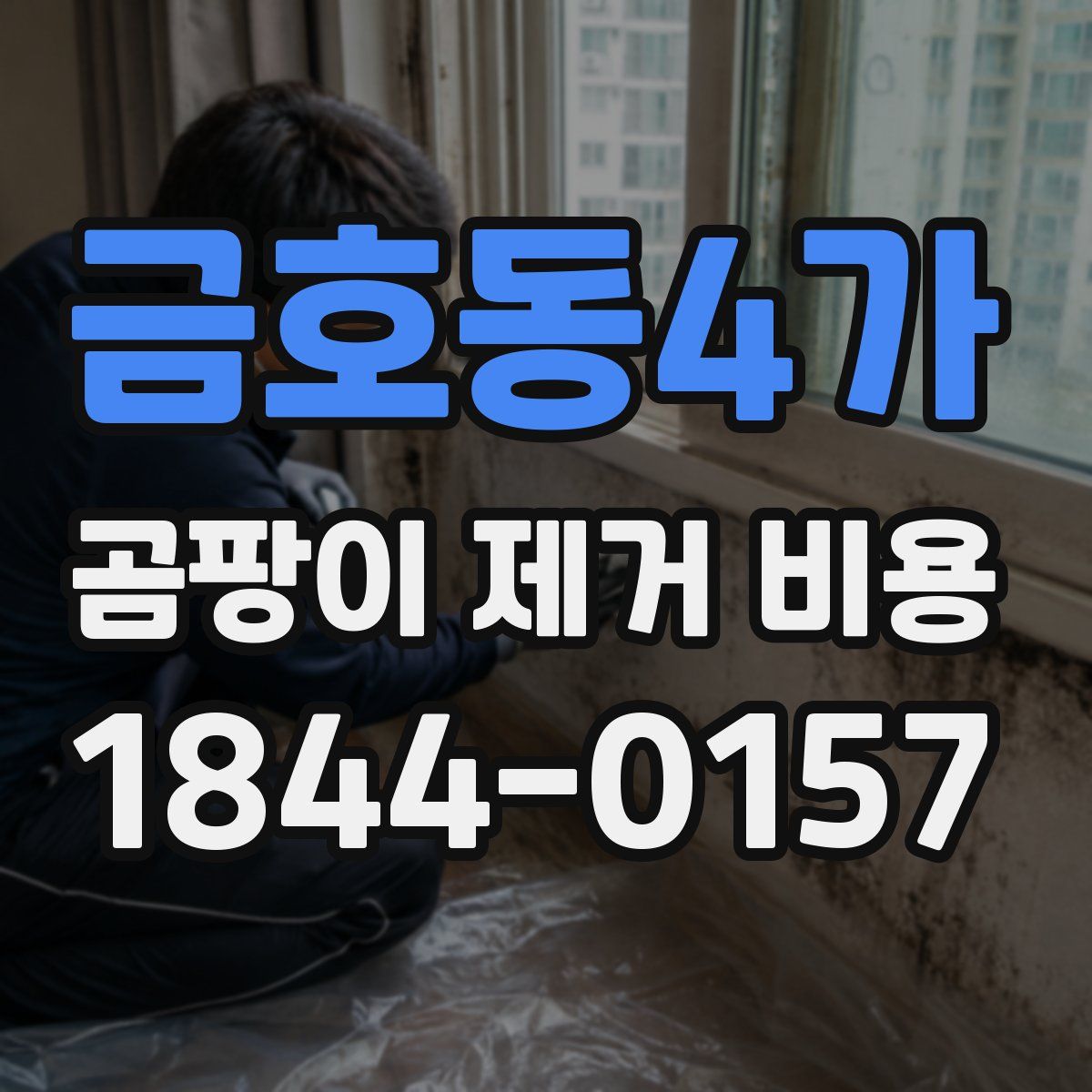 금호동4가 곰팡이 제거 비용