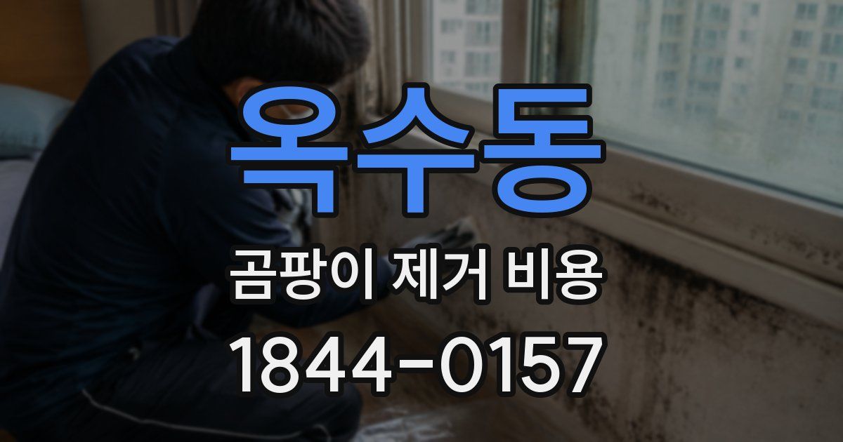 옥수동 곰팡이 제거 비용