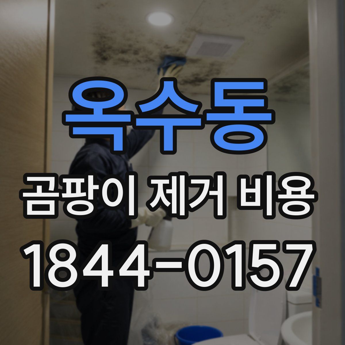옥수동 곰팡이 제거 비용