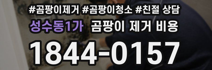 성수동1가 곰팡이 제거 비용