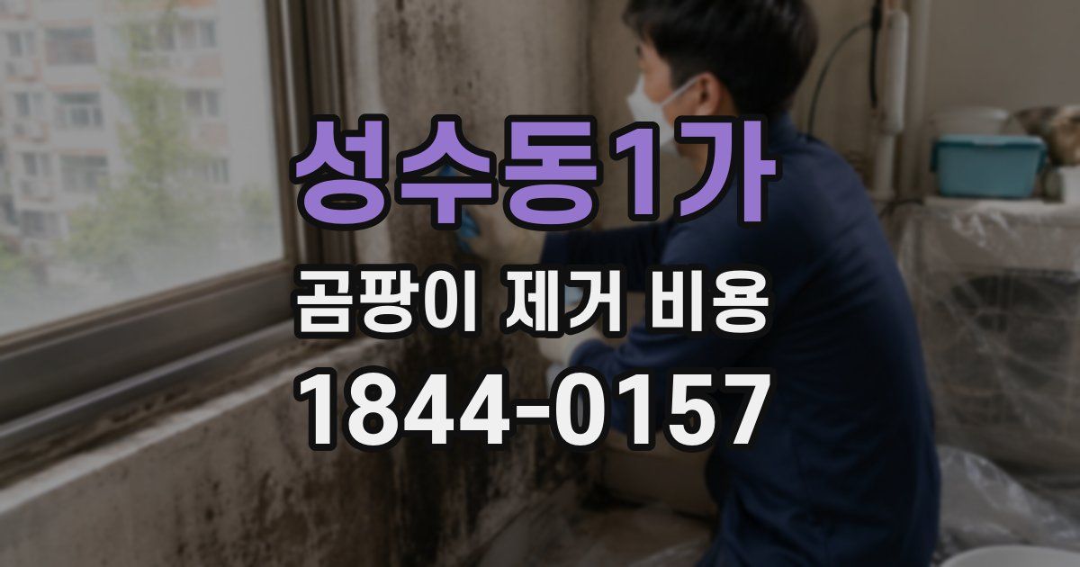 성수동1가 곰팡이 제거 비용