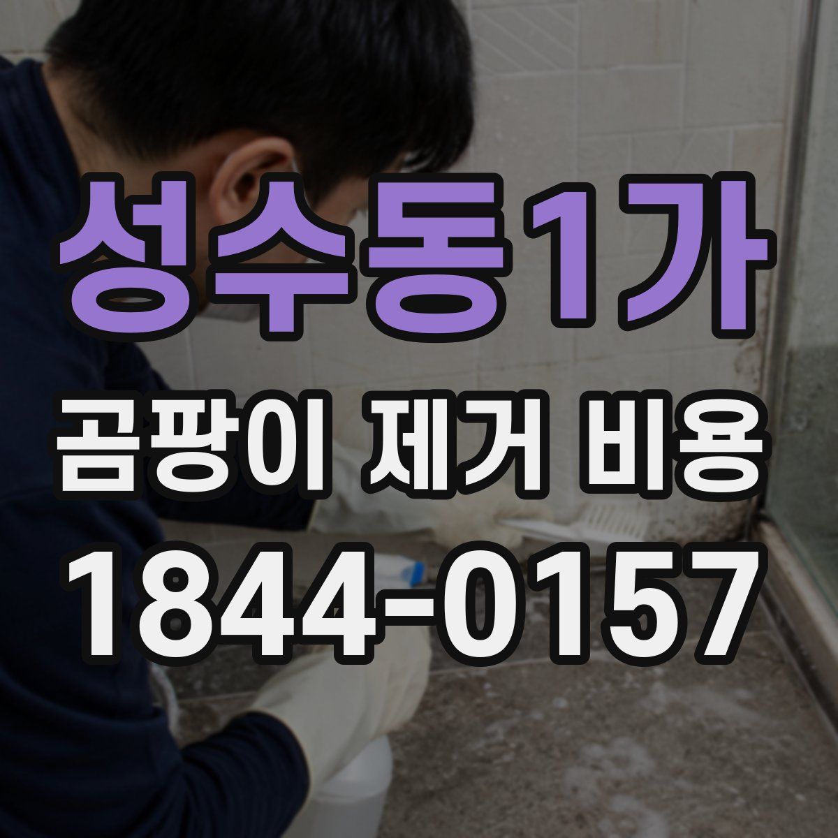 성수동1가 곰팡이 제거 비용