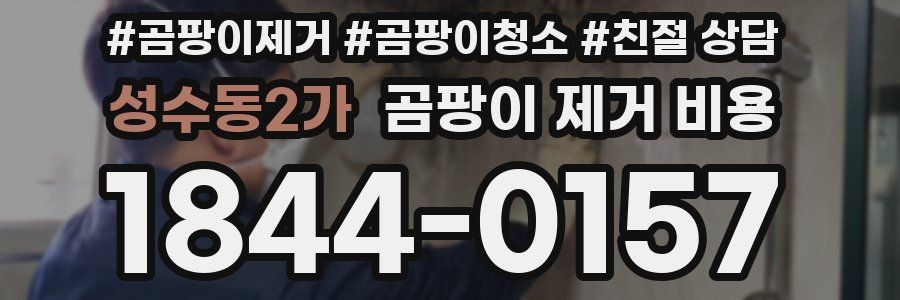 성수동2가 곰팡이 제거 비용