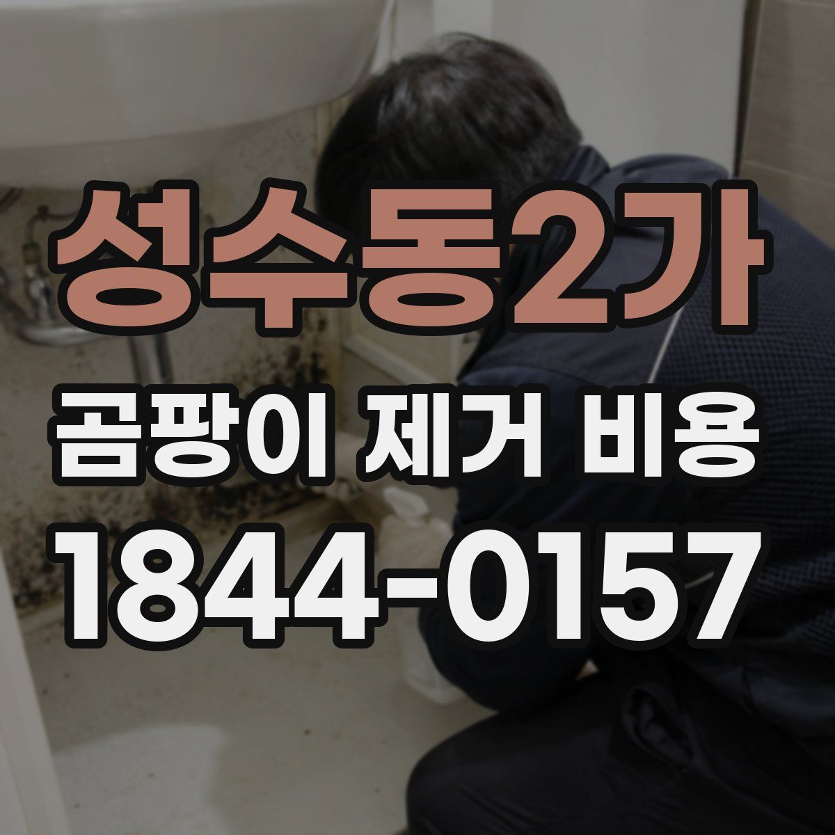 성수동2가 곰팡이 제거 비용