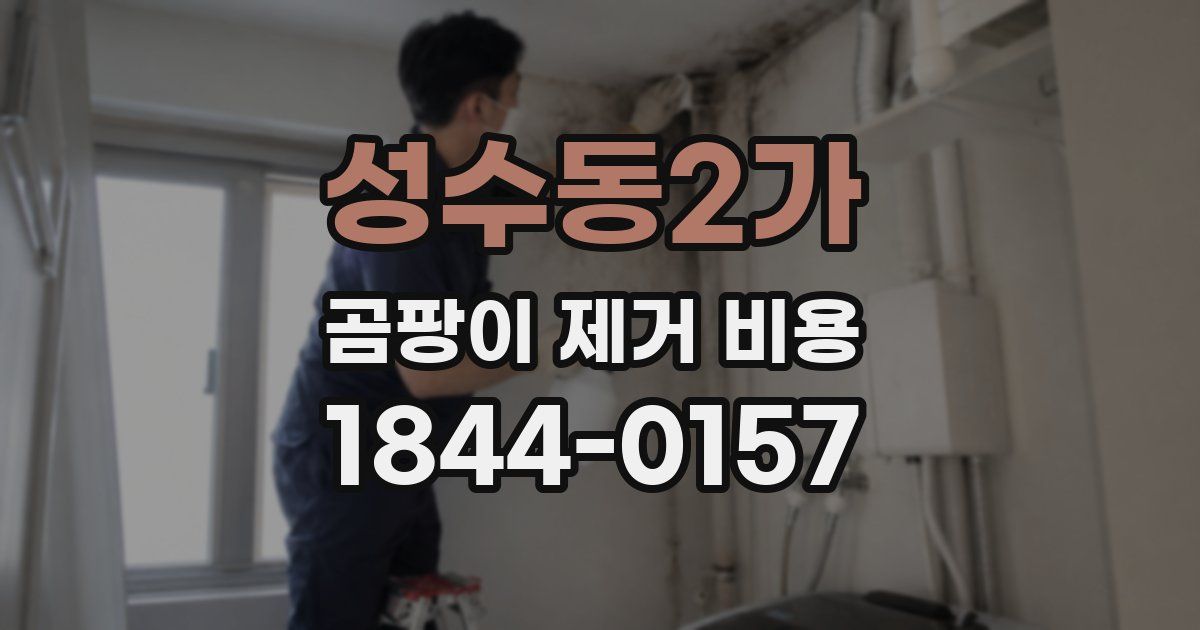 성수동2가 곰팡이 제거 비용