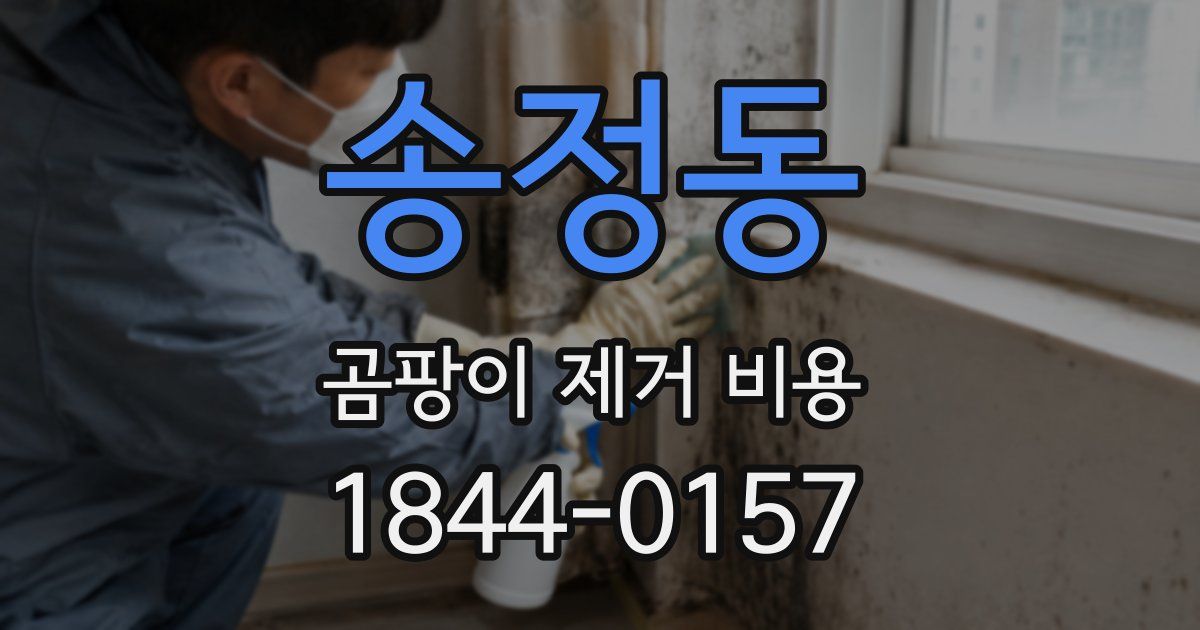 송정동 곰팡이 제거 비용