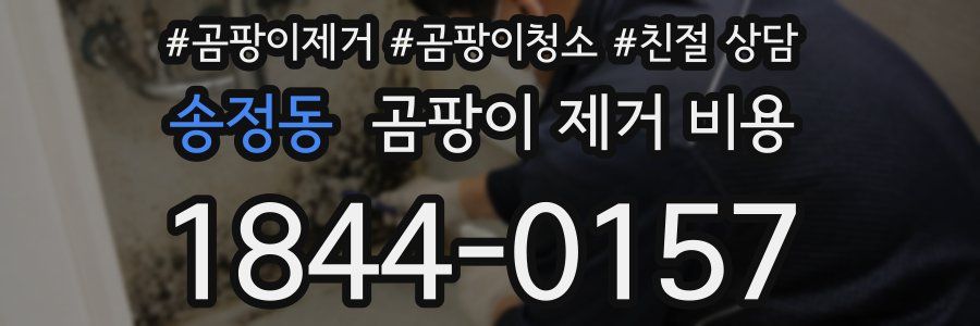 송정동 곰팡이 제거 비용