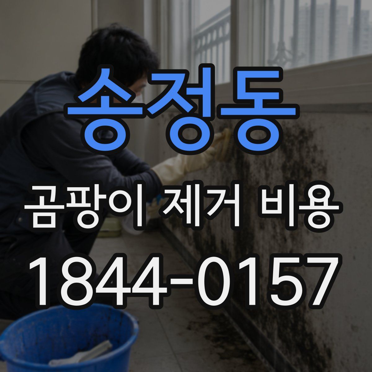 송정동 곰팡이 제거 비용