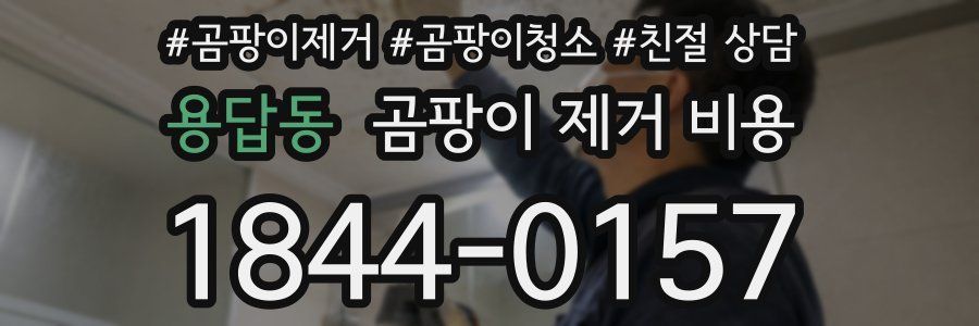 용답동 곰팡이 제거 비용