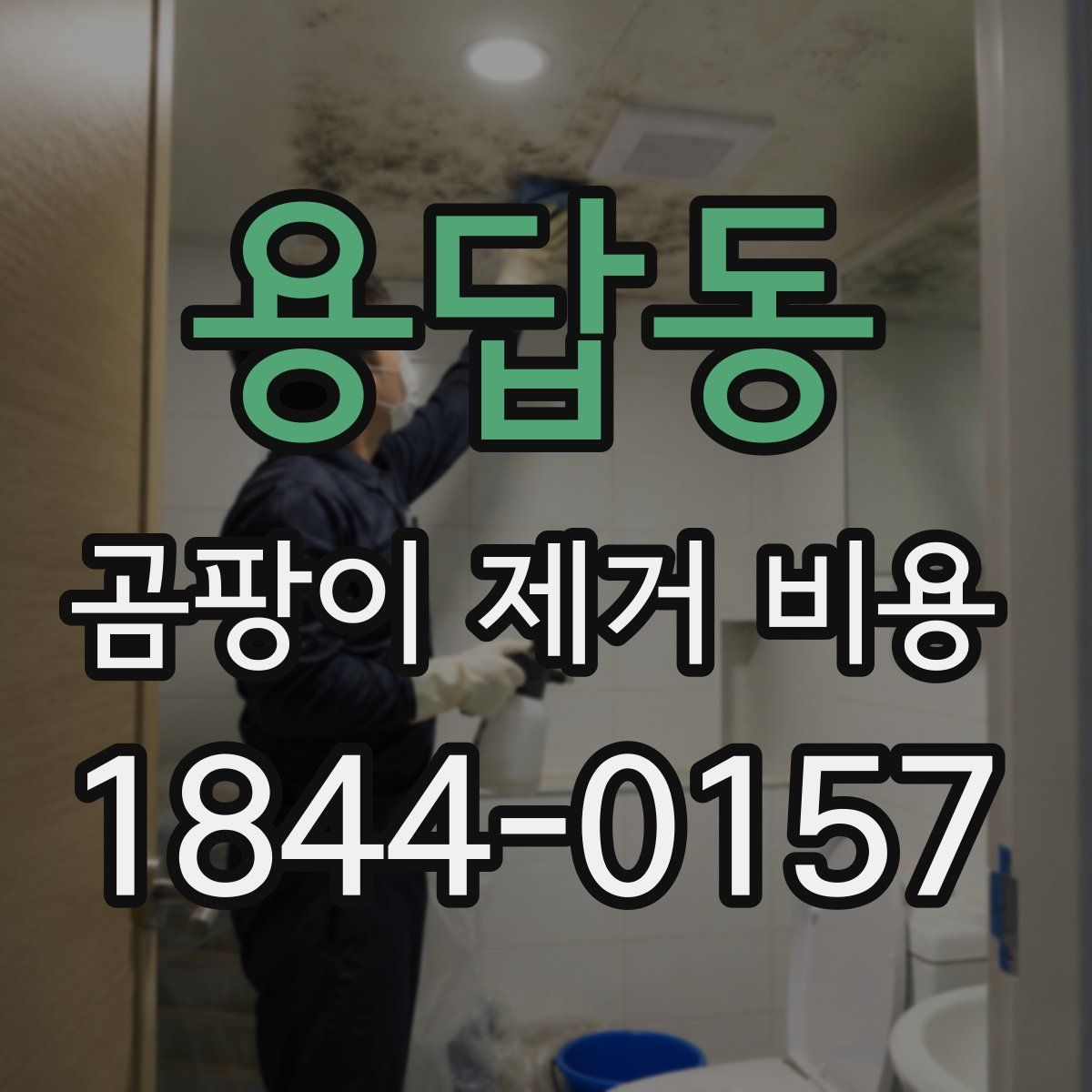 용답동 곰팡이 제거 비용