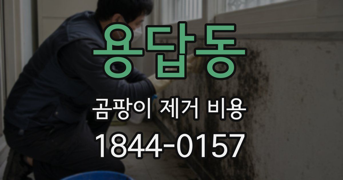 용답동 곰팡이 제거 비용
