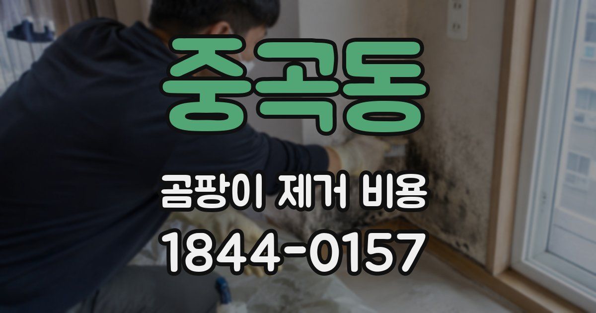 중곡동 곰팡이 제거 비용